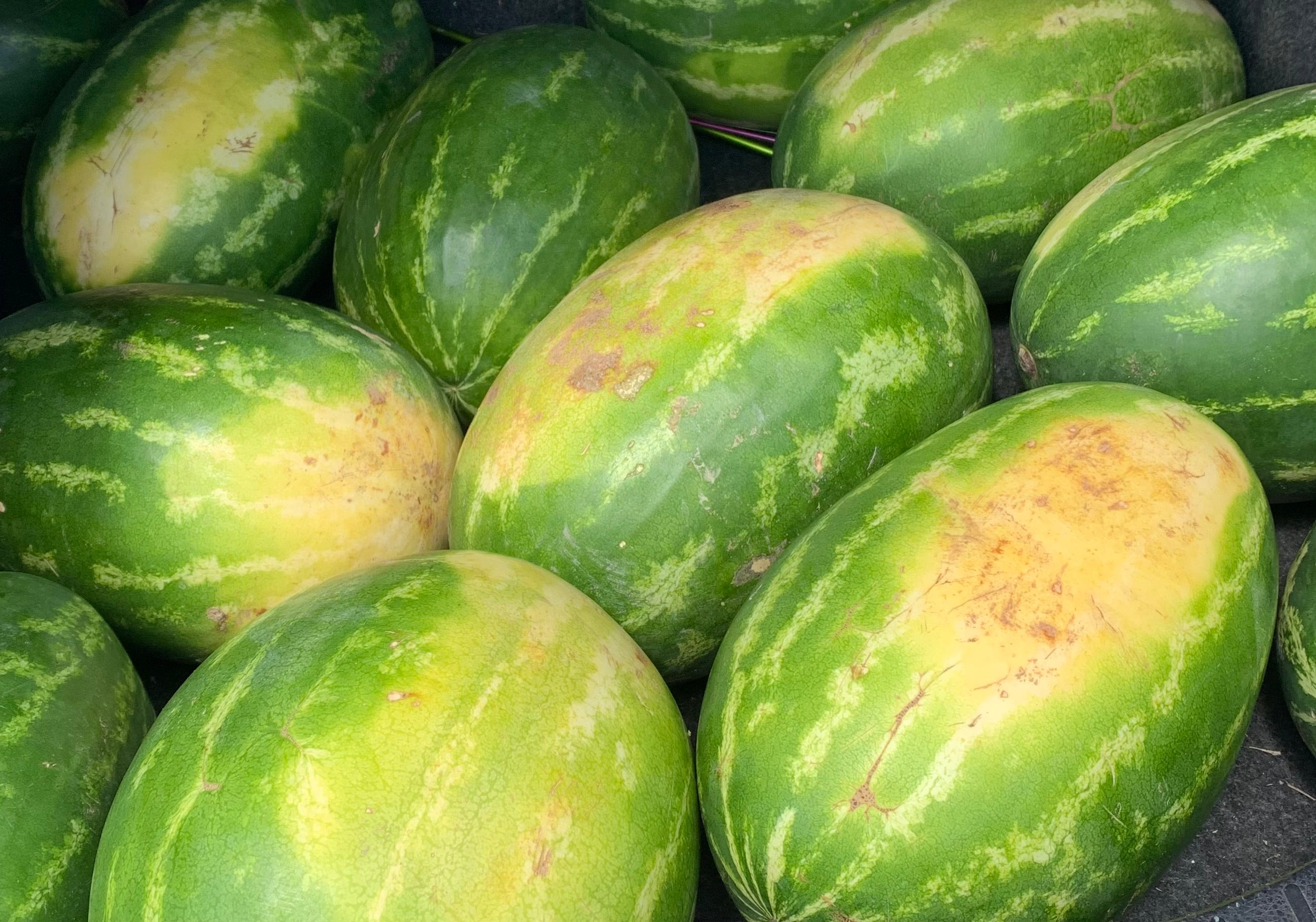 Seeded Watermelon