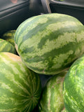 Yellow/Orange Watermelon