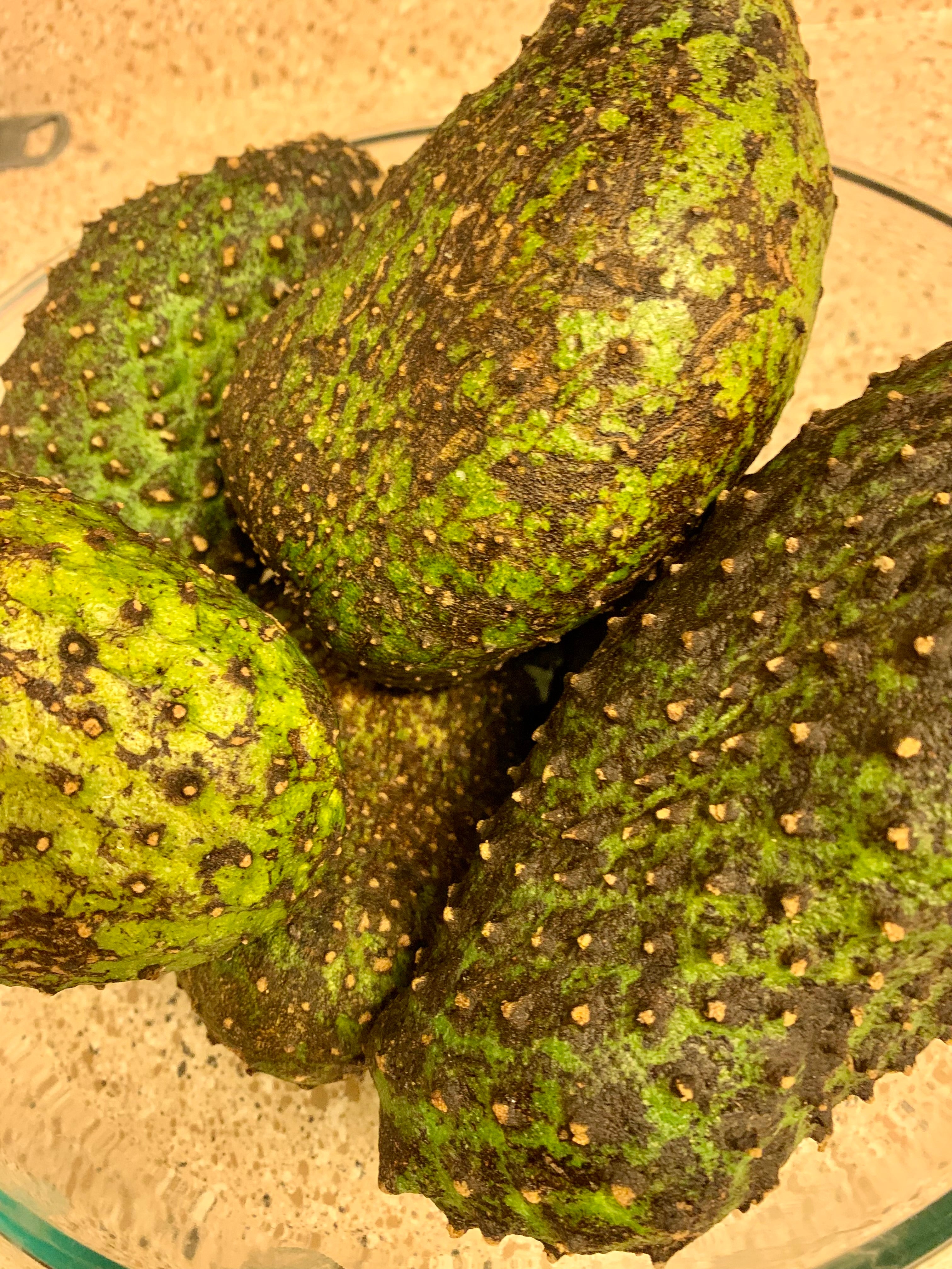 Fresh Soursop Fruit